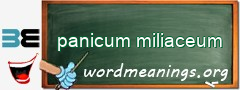 WordMeaning blackboard for panicum miliaceum